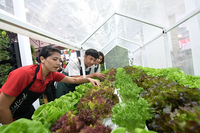 ธนวัฒน์ ว่องไวตระการ “Young Smart Farmer” เกษตรกรรุ่นใหม่  กับการพลิกแนวคิด เพิ่มมูลค่าผลผลิต ตอบเทรนด์ผู้บริโภค