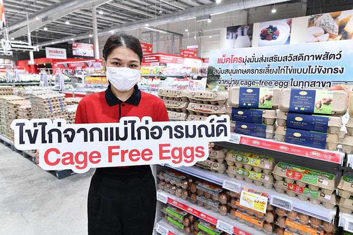 ‘แม็คโคร’ เดินหน้าส่งเสริมสวัสดิภาพสัตว์ จับมือพันธมิตรผลิตไข่ไก่จากแม่ไก่อารมณ์ดี  ตั้งเป้าขยายการรับซื้อ-จำหน่าย ในราคาที่เอื้อมถึงได้แก่ผู้บริโภคและผู้ประกอบการ