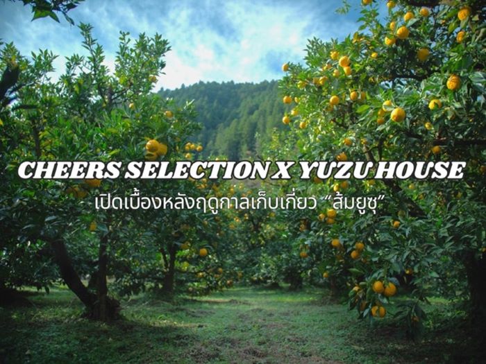 Cheers Selection x Yuzu House เปิดเบื้องหลังฤดูกาลเก็บเกี่ยว “ส้มยูซุ”  เตรียมส่งนวัตกรรมเครื่องดื่มรสชาติใหม่สู่ตลาดพรีเมียม 15 พฤศจิกายนนี้